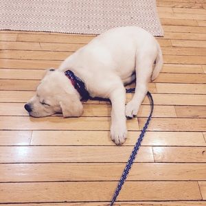 Meet your Posher, Anthony